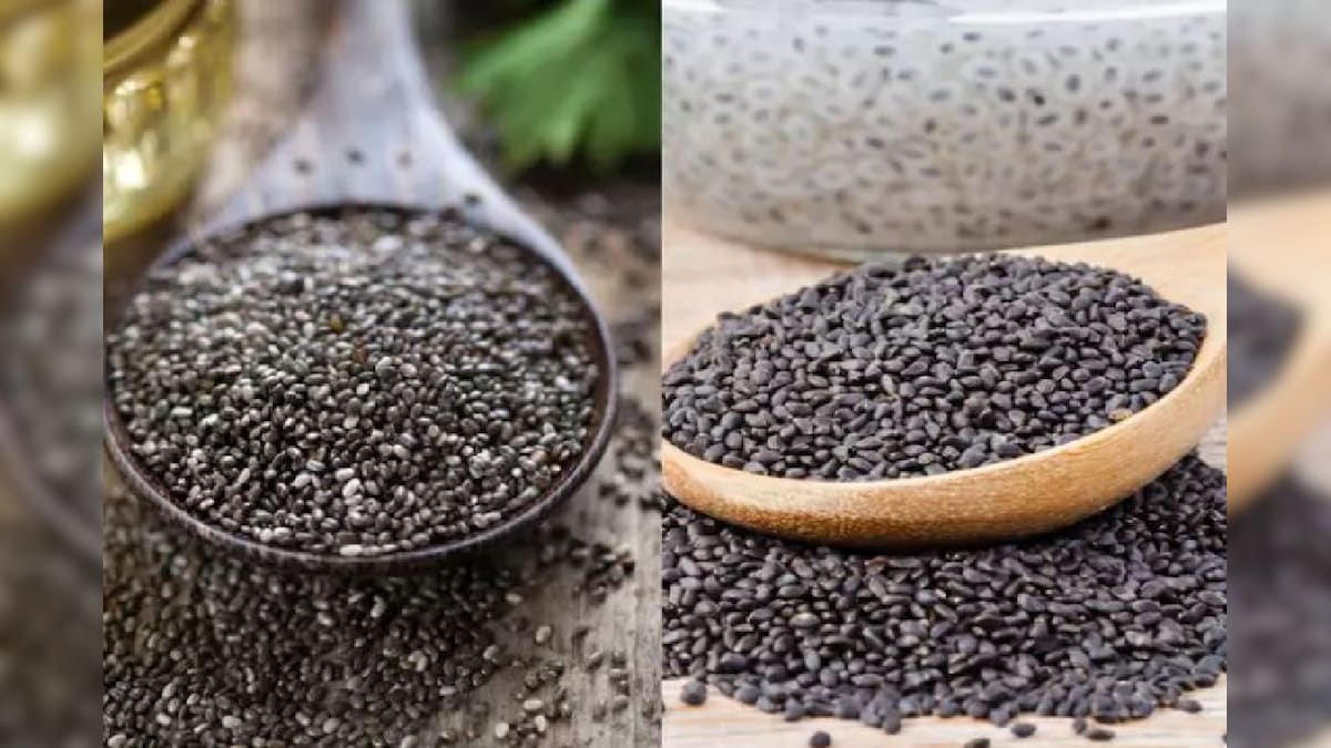 Chia Seeds vs Sabja Seeds Understand the Difference Between Two Seeds
