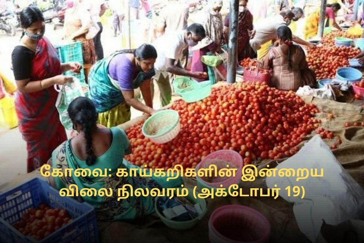 கோவை: காய்கறிகளின் இன்றைய விலை நிலவரம் (அக்டோபர் 19)