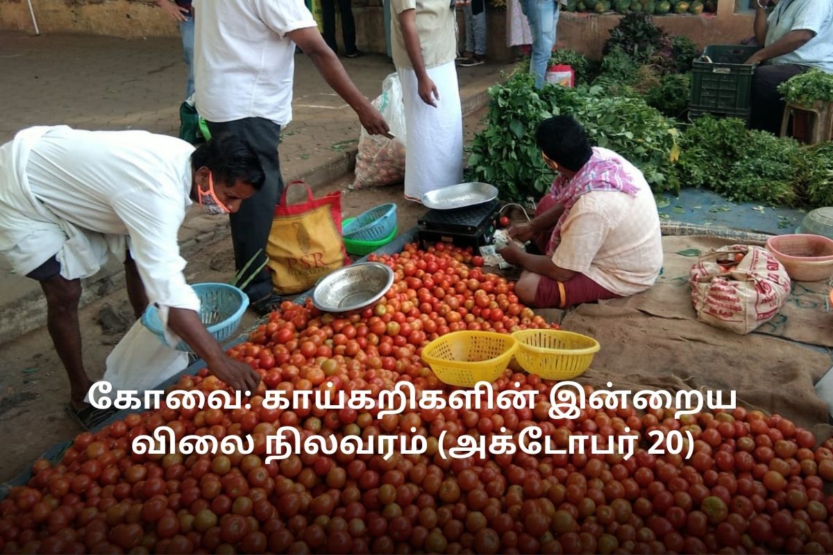கோவை: காய்கறிகளின் இன்றைய விலை நிலவரம் (அக்டோபர் 20)