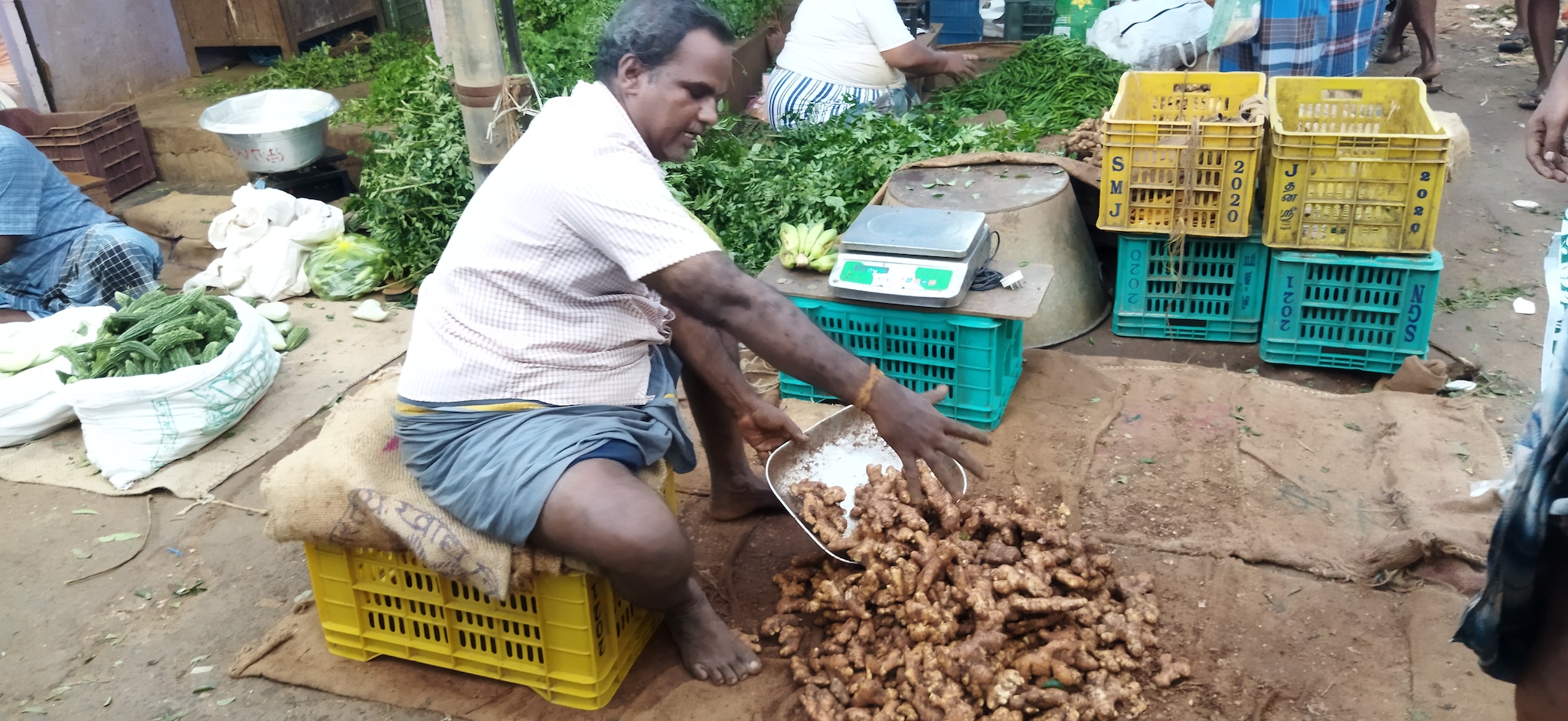 திருச்சி காந்தி மார்க்கெட் : இன்றைய (அக்டோபர் 21) காய்கறி, பழங்கள் விலை தெரியுமா?