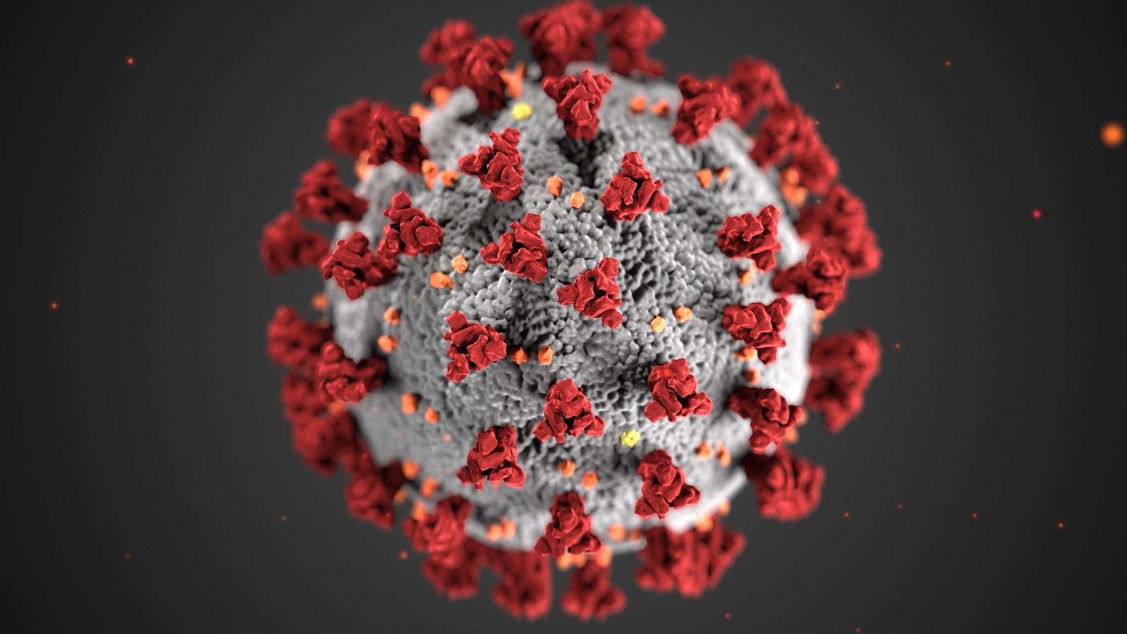 CoronaVirus CoronaVirus