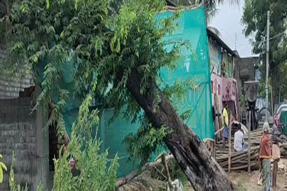 ஜெயங்கொண்டத்தில் 70 ஆண்டு பழைமையான புளியமரம் வேரோடு சாய்ந்தது