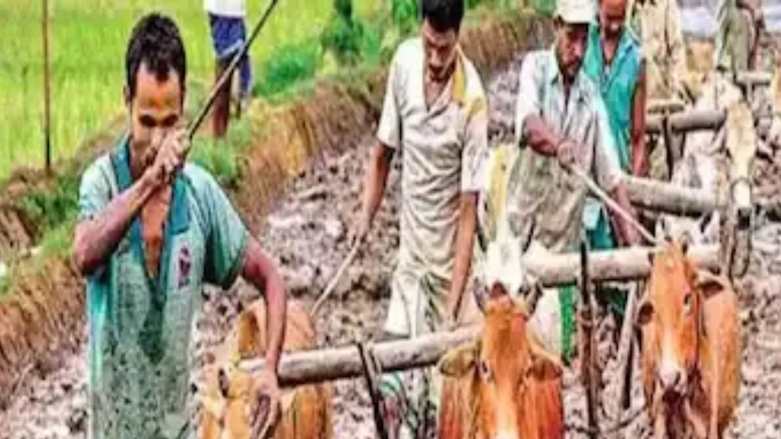 PM Kisan திட்டத்தின் கீழ் நிதியுதவியை தவிர விவசாயிகளுக்கு கிடைக்கும் மேலும் 3 நன்மைகள்...!