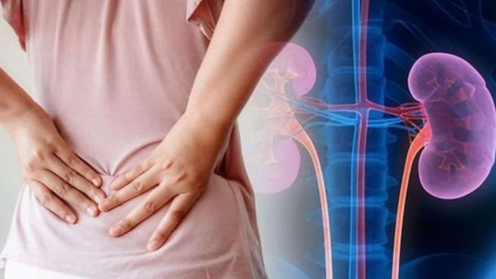 சிறுநீரக பாதிப்பு அறிகுறிகள் என்ன..? தடுக்கும் வழிகளும்.. பின்பற்ற வேண்டிய வாழ்க்கை முறைகளும்...