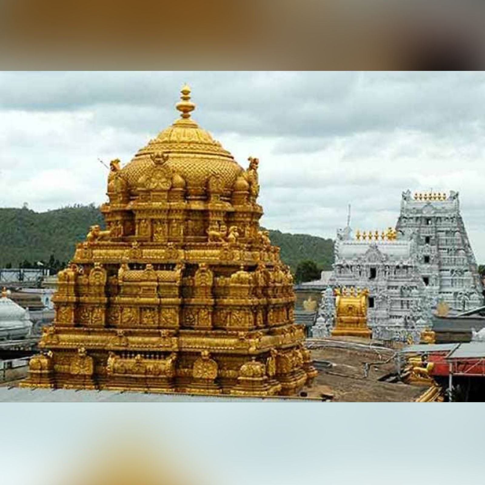  அதன்படி நாளொன்றுக்கு 8000 என்ற எண்ணிக்கையில் வெளியிடப்பட இருக்கும் இலவச தரிசன டோக்கன்களை பக்தர்கள் https://tirupatibalaji.ap.gov.in என்ற வெப்சைட் மூலம் முன்பதிவு செய்து கொள்ளலாம். கட்டண டோக்கனை போன்று இலவச டோக்கனும் விரைவில் விற்று தீரக்கூடும் என்பதால் காலையிலேயே  முன்பதிவு செய்வதன் மூலம் பக்தர்கள் ஏமாற்றத்தை தவிர்க்கலாம். காலை 9 மணிக்கு முன்பதிவு தொடங்கவுள்ளது. 