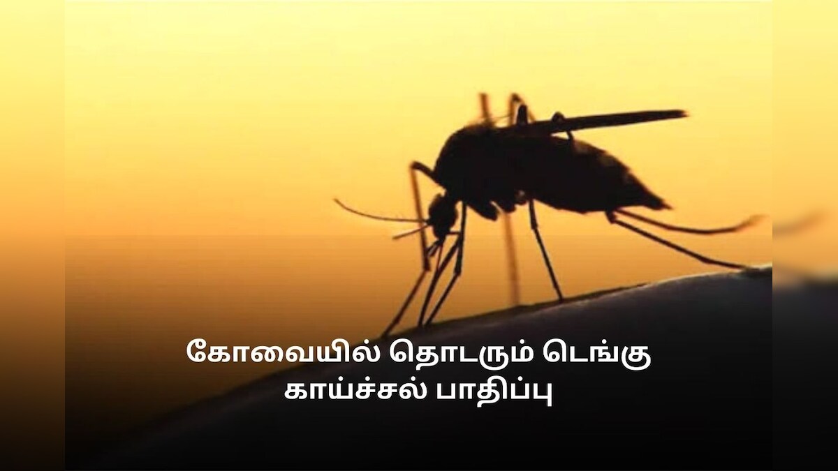 கோவையில் தொடரும் டெங்கு காய்ச்சல் பாதிப்பு - அரசு மருத்துவமனையில் 5 பேர் சிகிச்சை