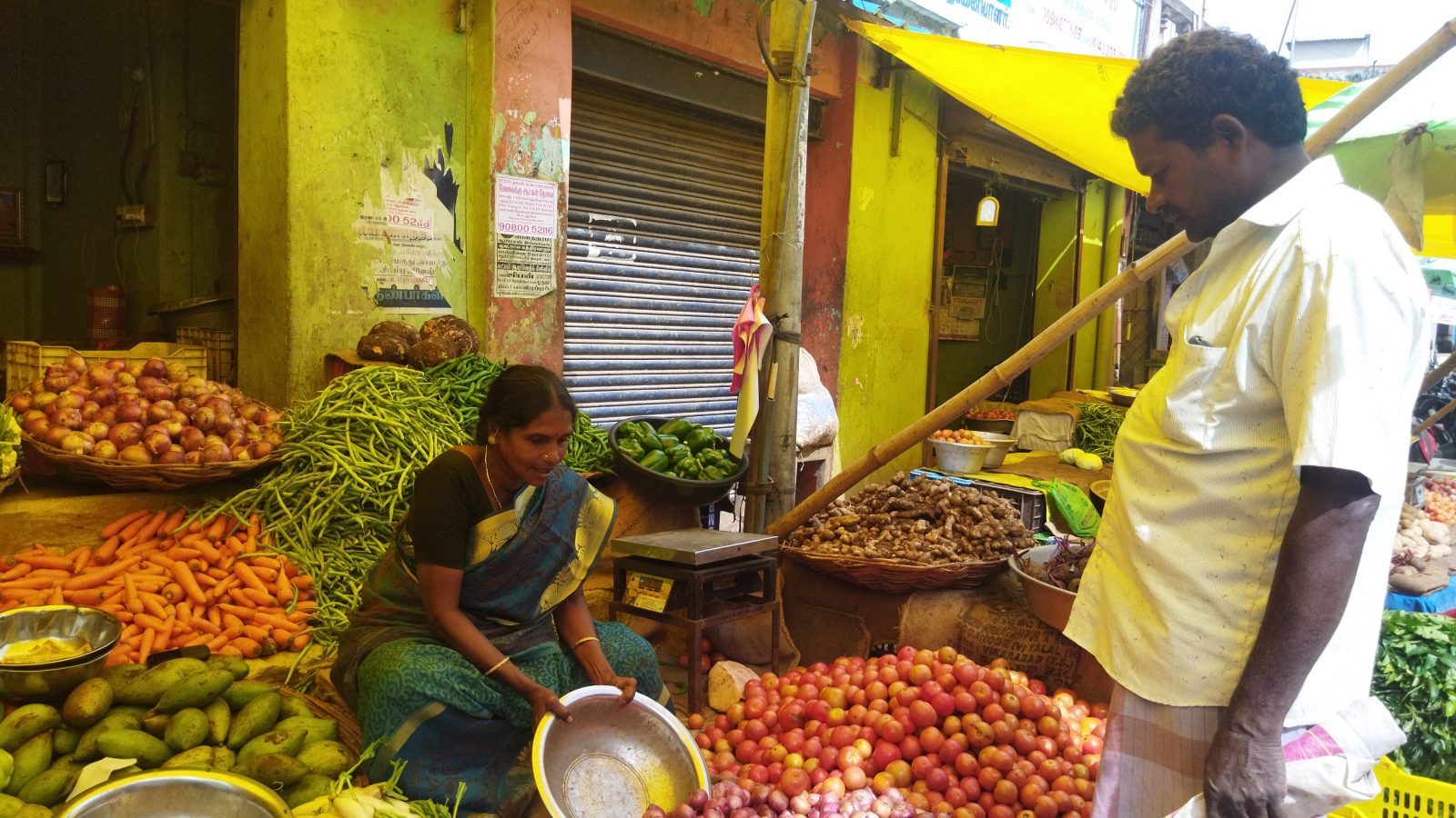 விழுப்புரம் : இன்றைய உழவர் சந்தையின் காய்கறி விலை நிலவரம்