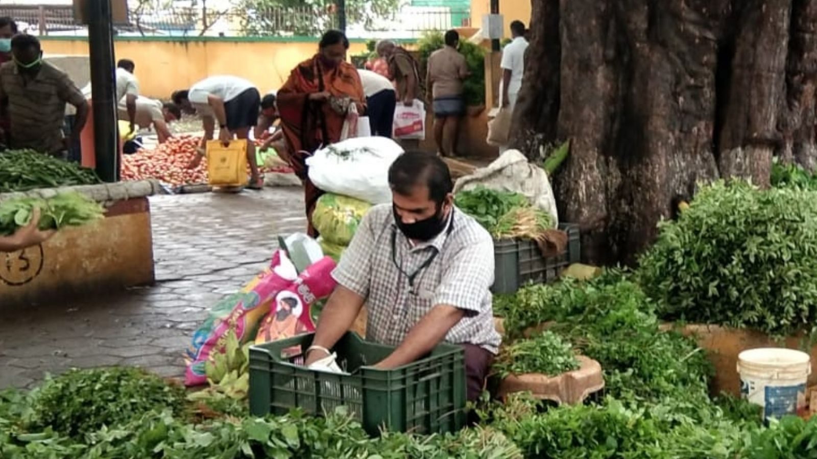 கோவை: காய்கறி - பழங்களின் இன்றைய விலை நிலவரம் (நவம்பர் 27)