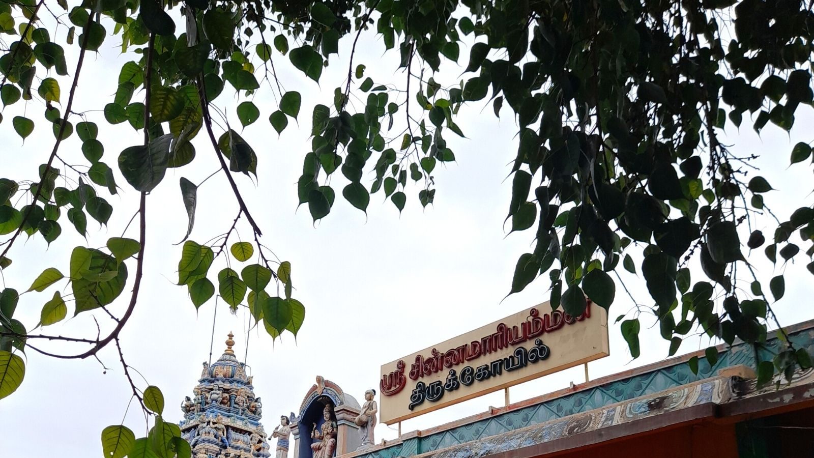 நாமக்கல்: பழமை வாய்ந்த சின்ன பொண்ணு என்கிற சின்ன மாரியம்மன் கோயில்!