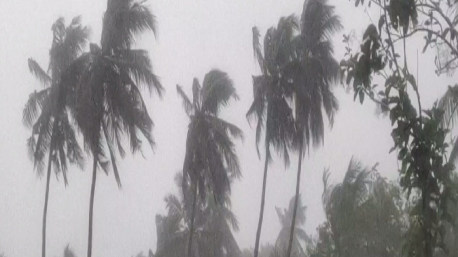 நெல்லையில் இரவில் கொட்டிய கனமழை.. வீடு இடிந்தது.. தாமிரபரணி ஆற்றில் குளிக்க தடை