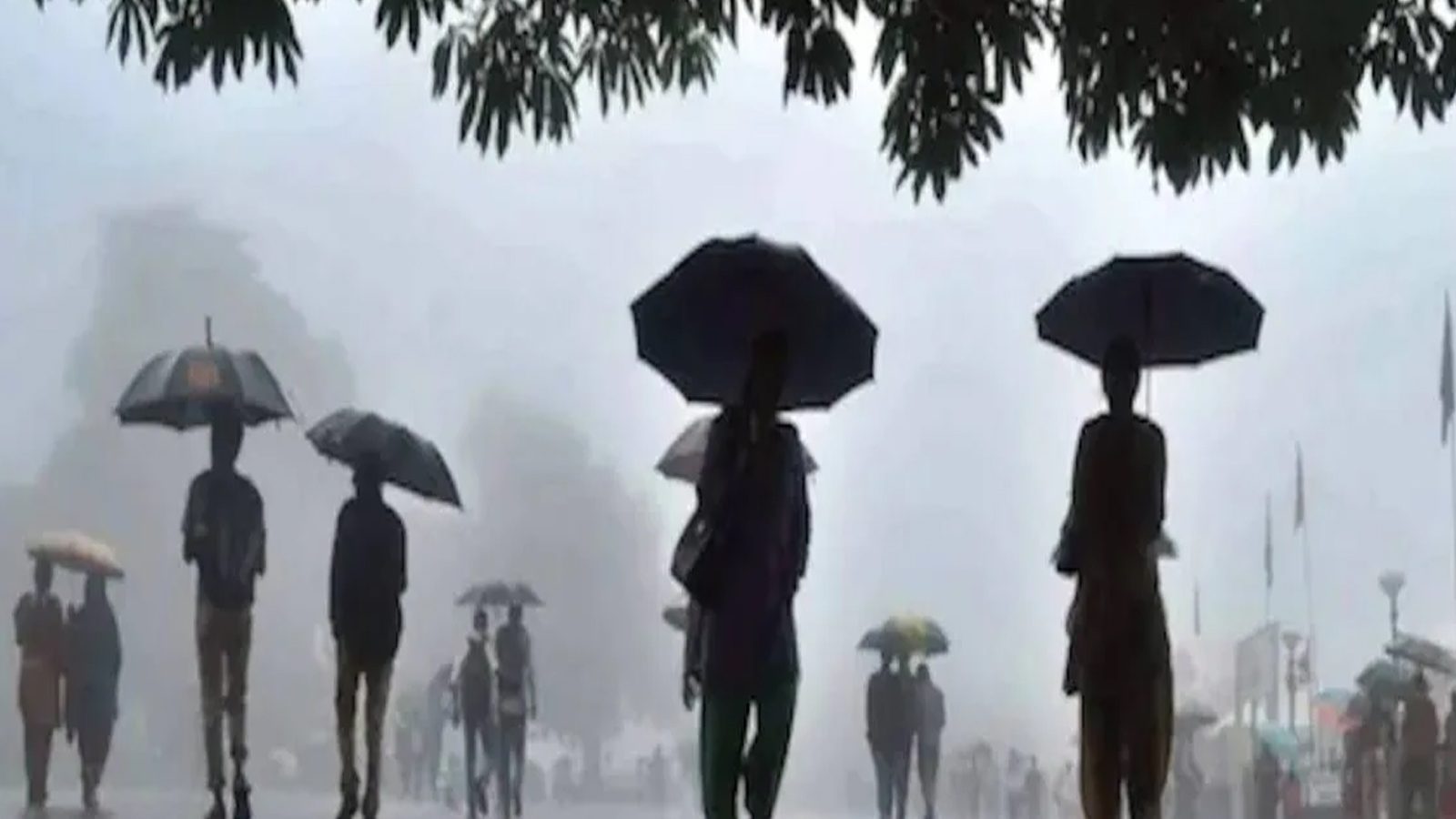 தமிழகத்தில் 7 மாவட்டங்களில் கனமழைக்கு வாய்ப்பு - சென்னை வானிலை ஆய்வு மையம்