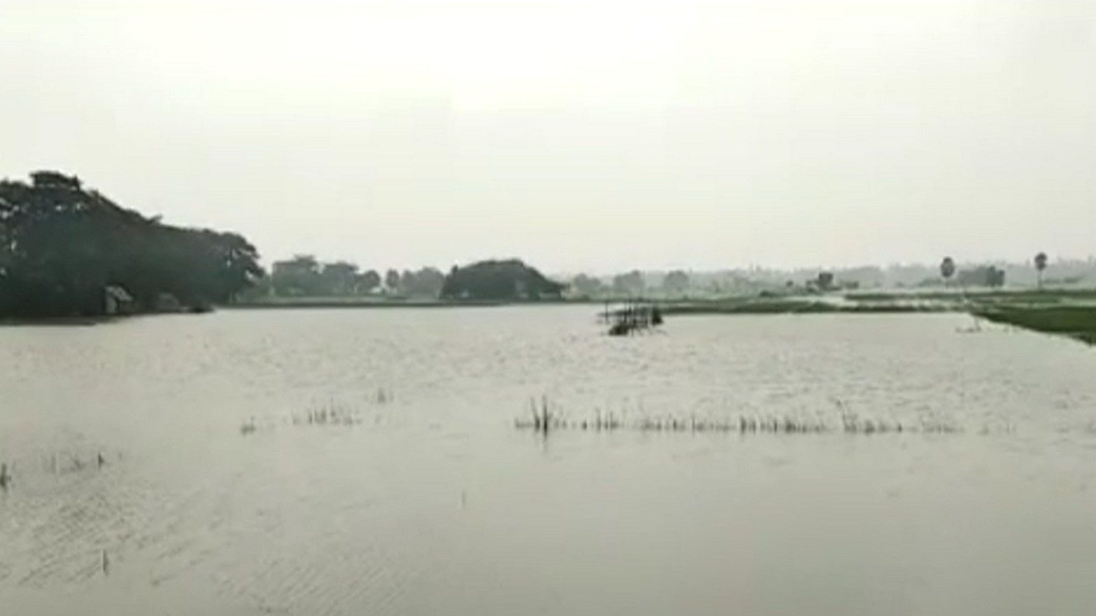 திருவாரூரில் மேலும் 10 ஆயிரம் ஏக்கர் சம்பா, தாளடி நெற்பயிர்கள் மழை நீரில் மூழ்கின