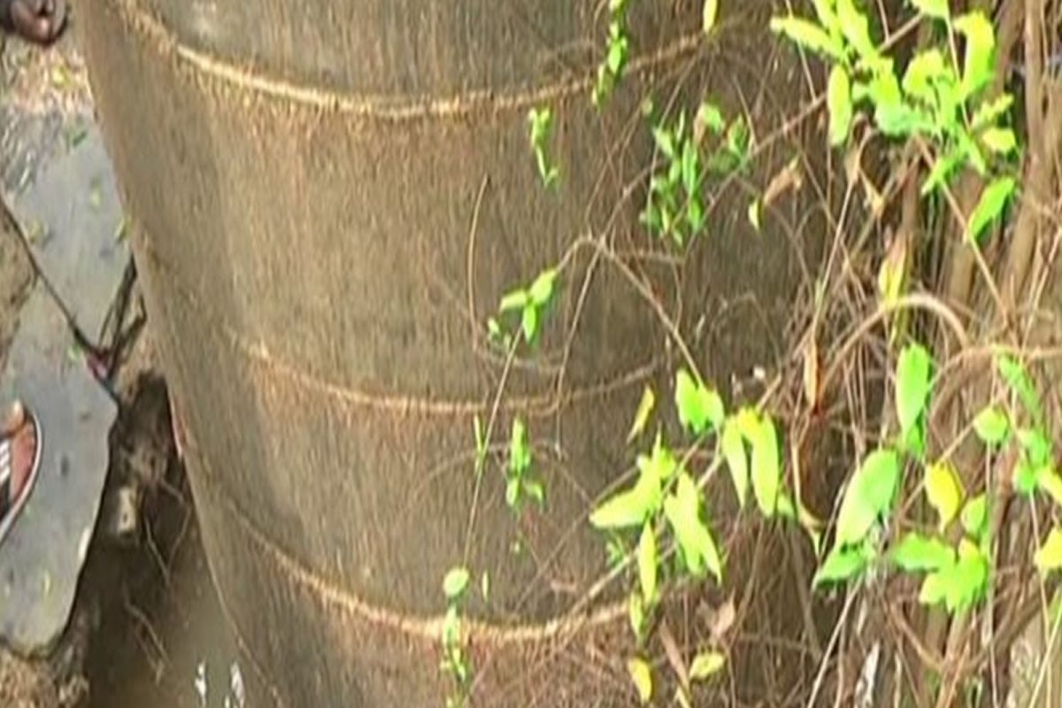திருப்பதி