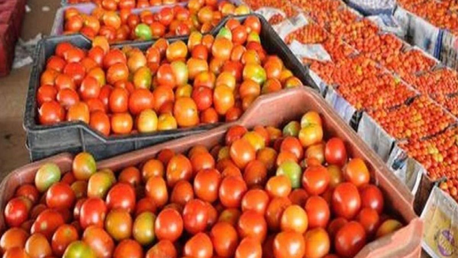 தமிழக ரேஷன் கடைகளில் மலிவு விலையில் தக்காளி விற்பனை?