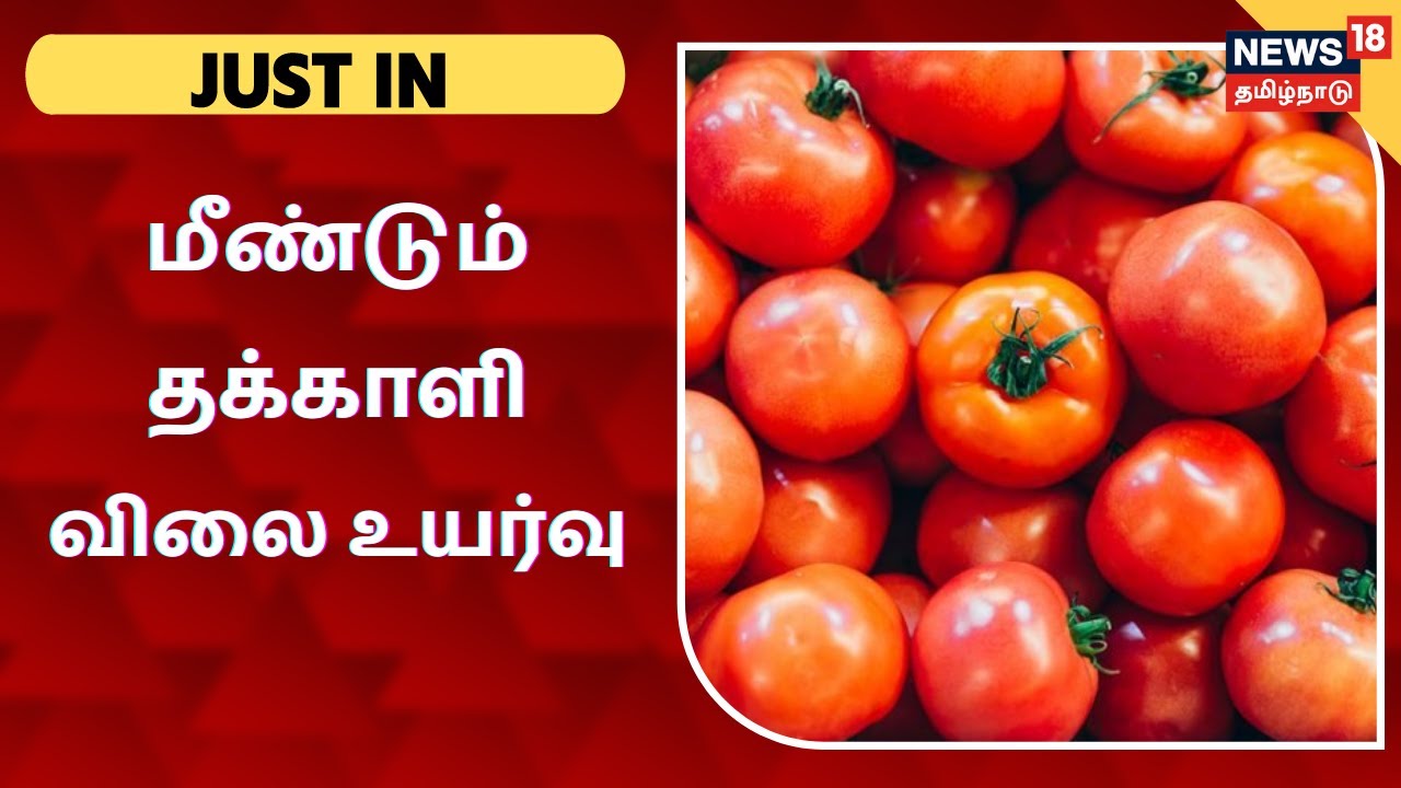 கனமழையால் கோயம்பேடு சந்தையில் மீண்டும் தக்காளி விலை உயர்வு