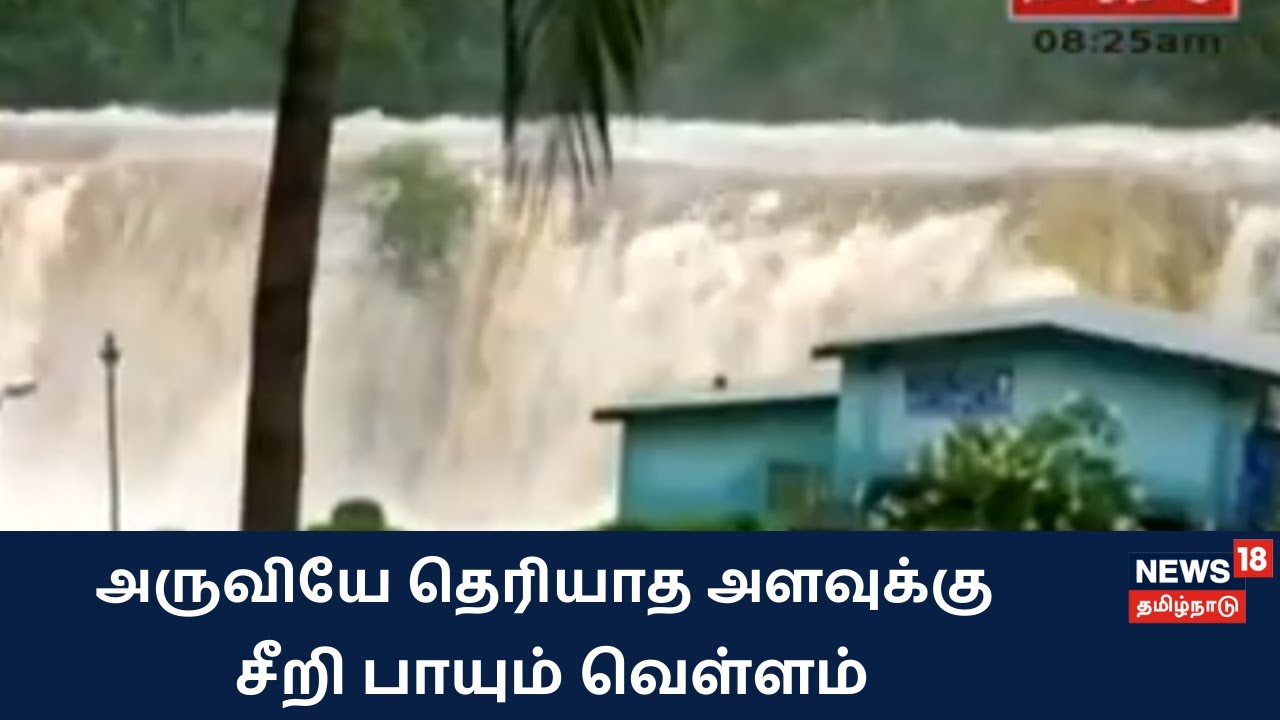 தொடர் கனமழை: அருவியே தெரியாத அளவுக்கு சீறிப்பாயும் வெள்ளம்