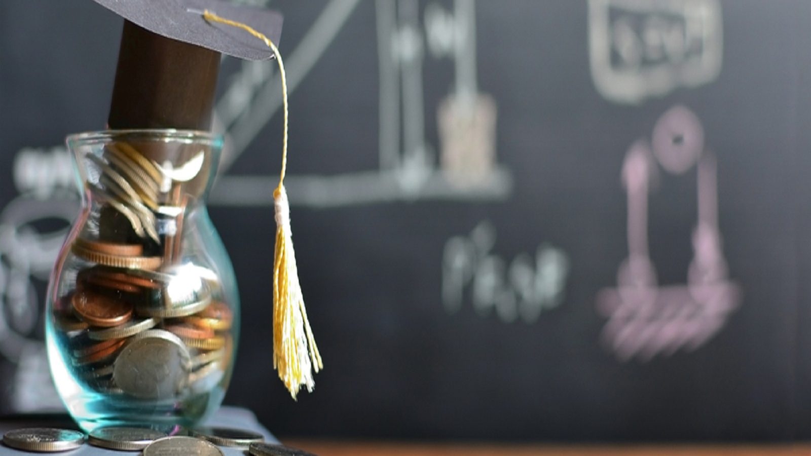 தமிழ்நாடு கல்வி ஃபெல்லோஷிப்: இளைஞர்களுக்கு மிக முக்கிய வாய்ப்பு