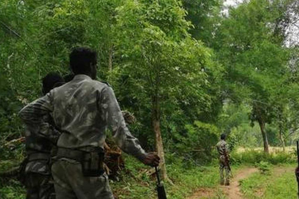 மாவோயிஸ்டுகள் 8 பேர் சுட்டுக் கொலை