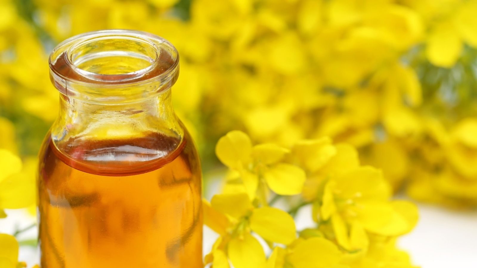 நீங்கள் சமையலுக்கு இனி இந்த எண்ணெய் பயன்படுத்தி பாருங்கள்… எண்ணற்ற நன்மைகளை பெறுவீர்கள்..!