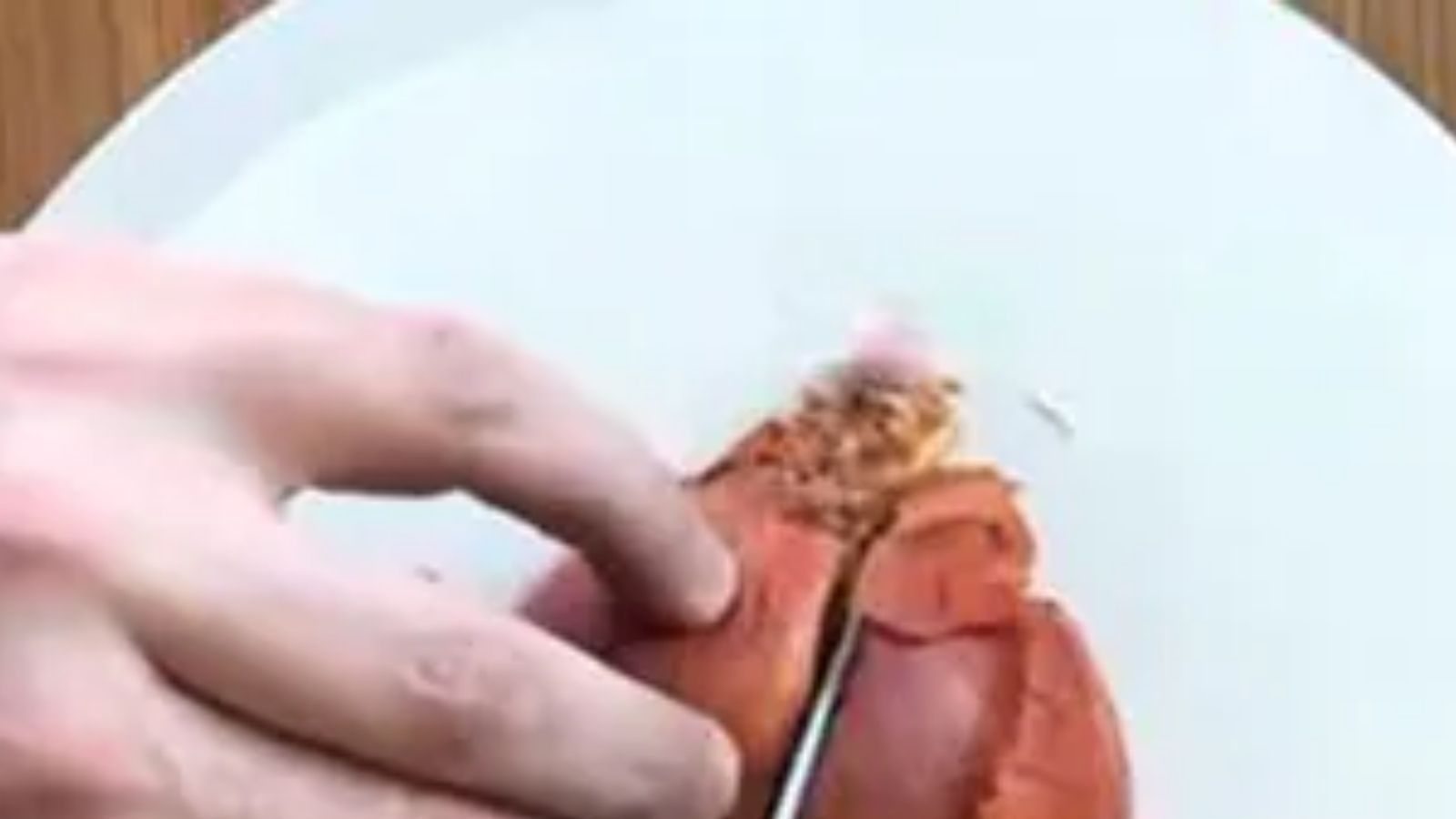 இது வெங்காயமா இல்லனா கேக்கானு கண்டுபிடிங்க? வைரலான இன்ஸ்டாகிராம் வீடியோ!