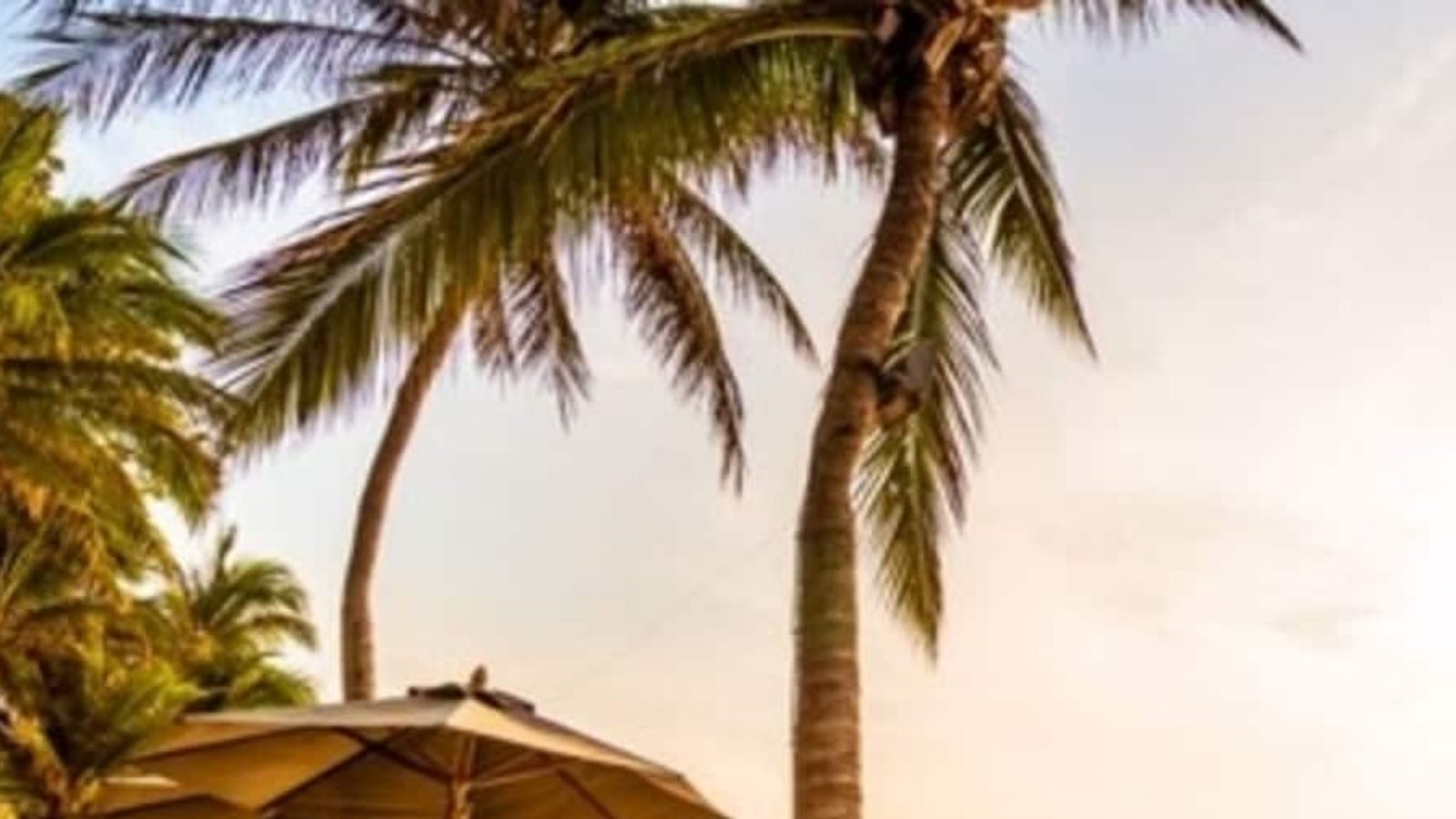 சுற்றுலாப் பயணிகளுக்கு சிவப்பு கம்பளமிடும் மகாராஷ்டிரா - சூப்பரான 4 பலே திட்டங்கள்!