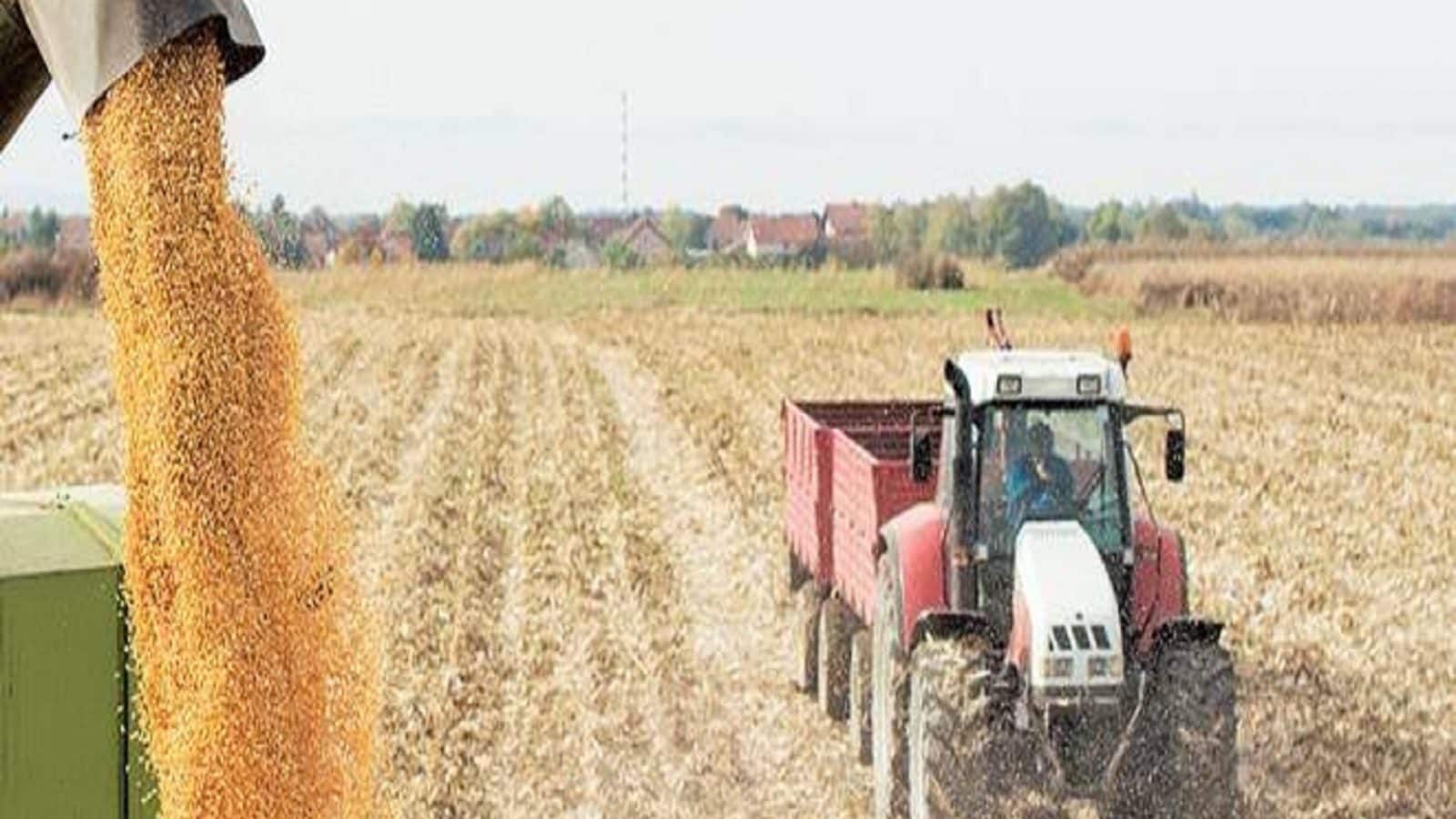 அரபு நாடுகளுக்கான விவசாய பொருட்கள் ஏற்றுமதியில் சாதித்த இந்தியா