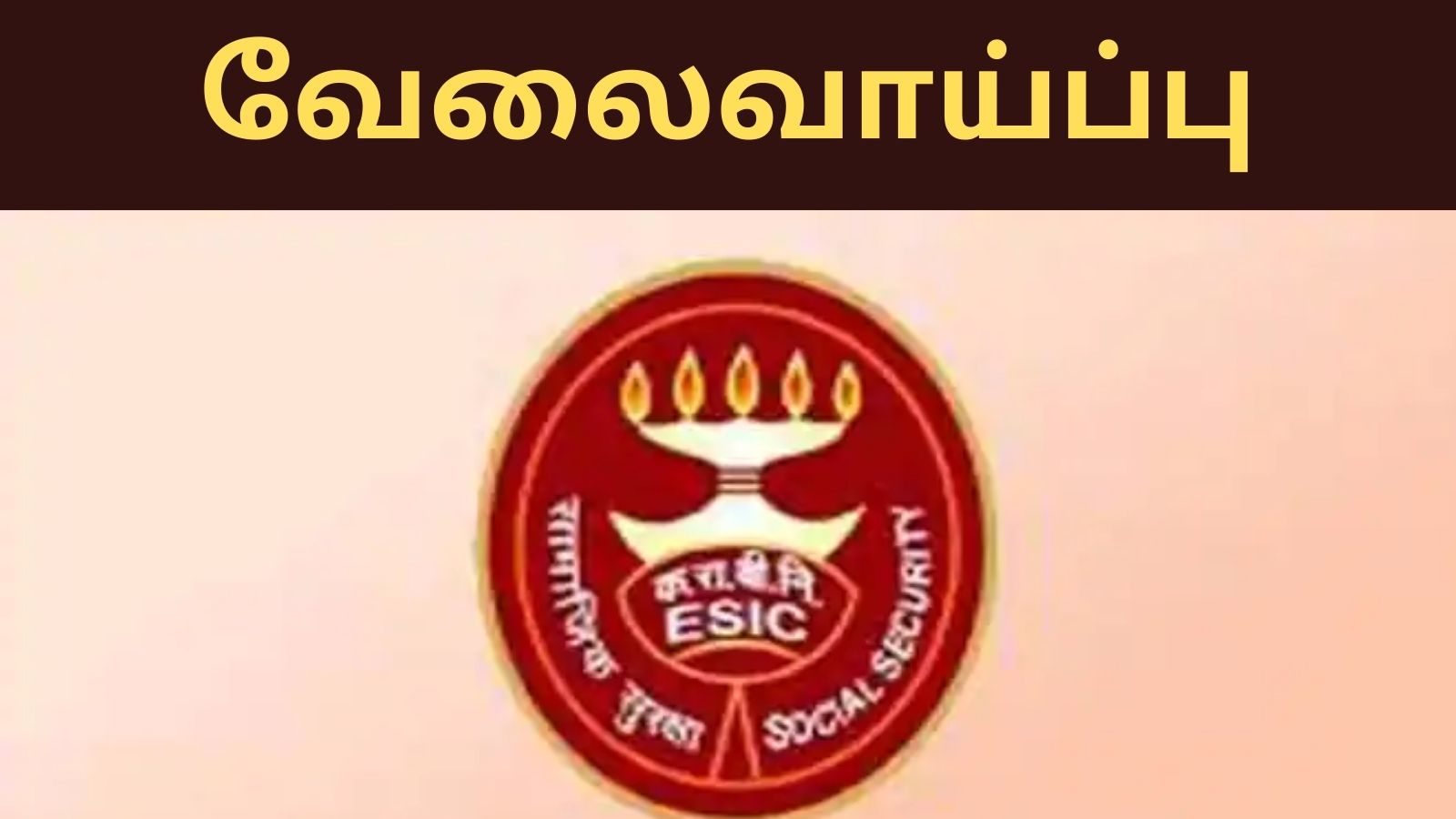 இ.எஸ்.ஐ. நிறுவனத்தில் வேலைவாய்ப்பு ... ரூ.56,100 சம்பளம் - விண்ணப்பிக்க விவரங்களை காண்க