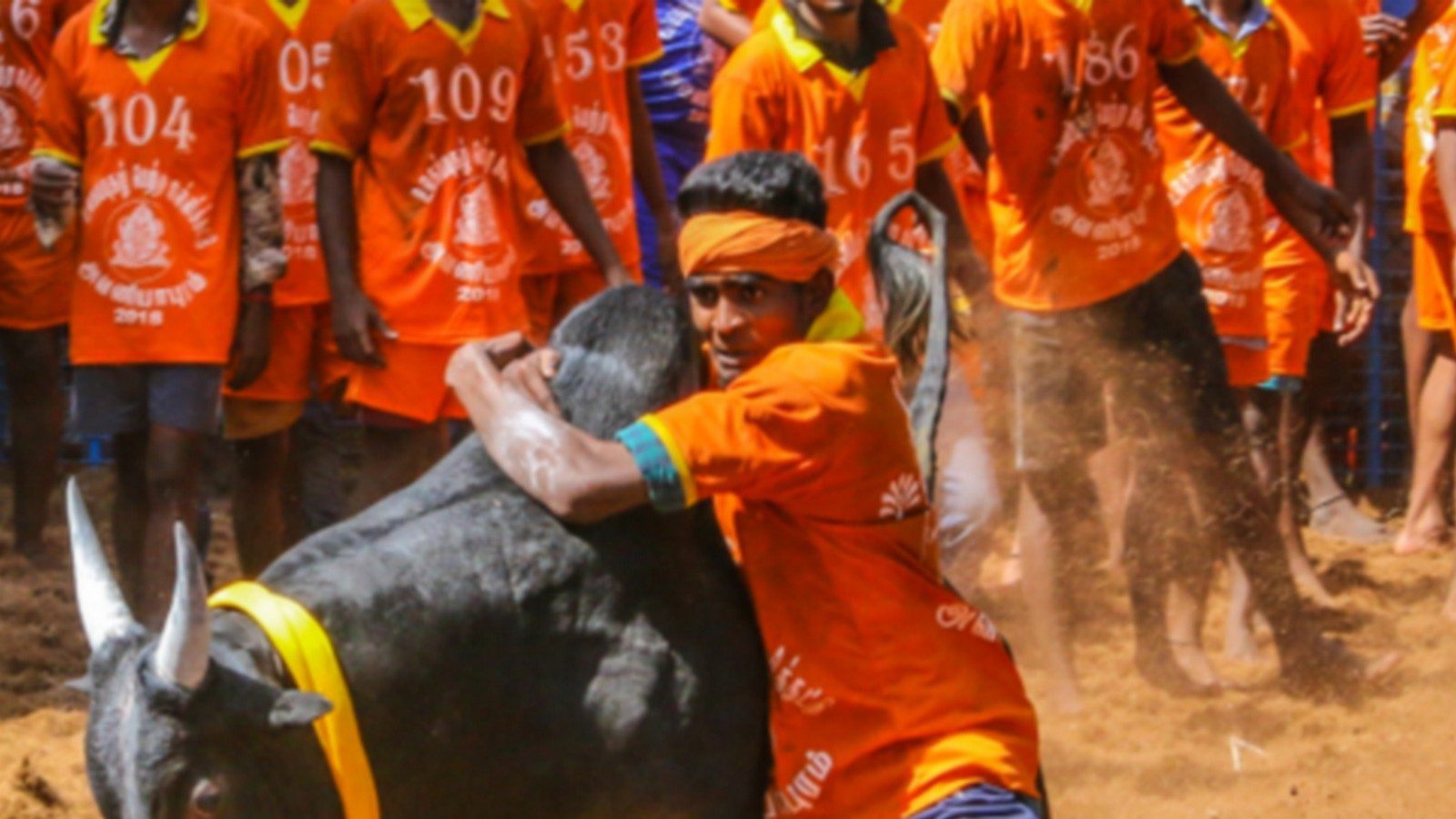 ஜல்லிக்கட்டு: 300 பேருக்கு மட்டுமே அனுமதி.. குவியும் விண்ணப்பம்- என்ன செய்ய போகிறது மாவட்ட நிர்வாகம்