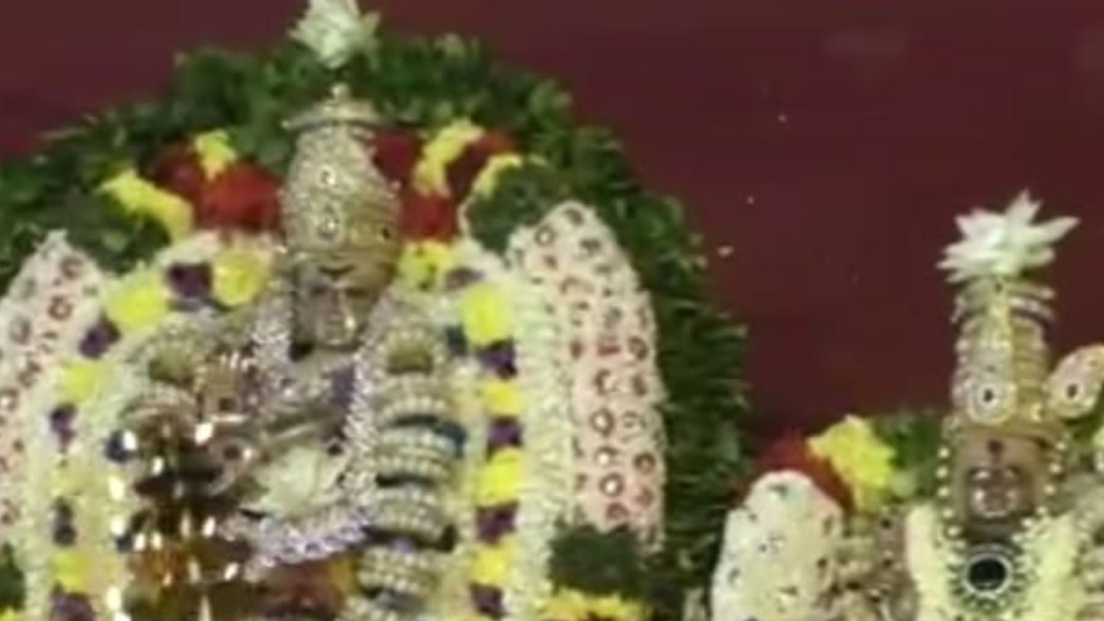 Arudra Darshan: திருப்பூர் அவிநாசிலிங்கேசுவரர் கோயிலில் ஆருத்ரா தரிசன விழா!