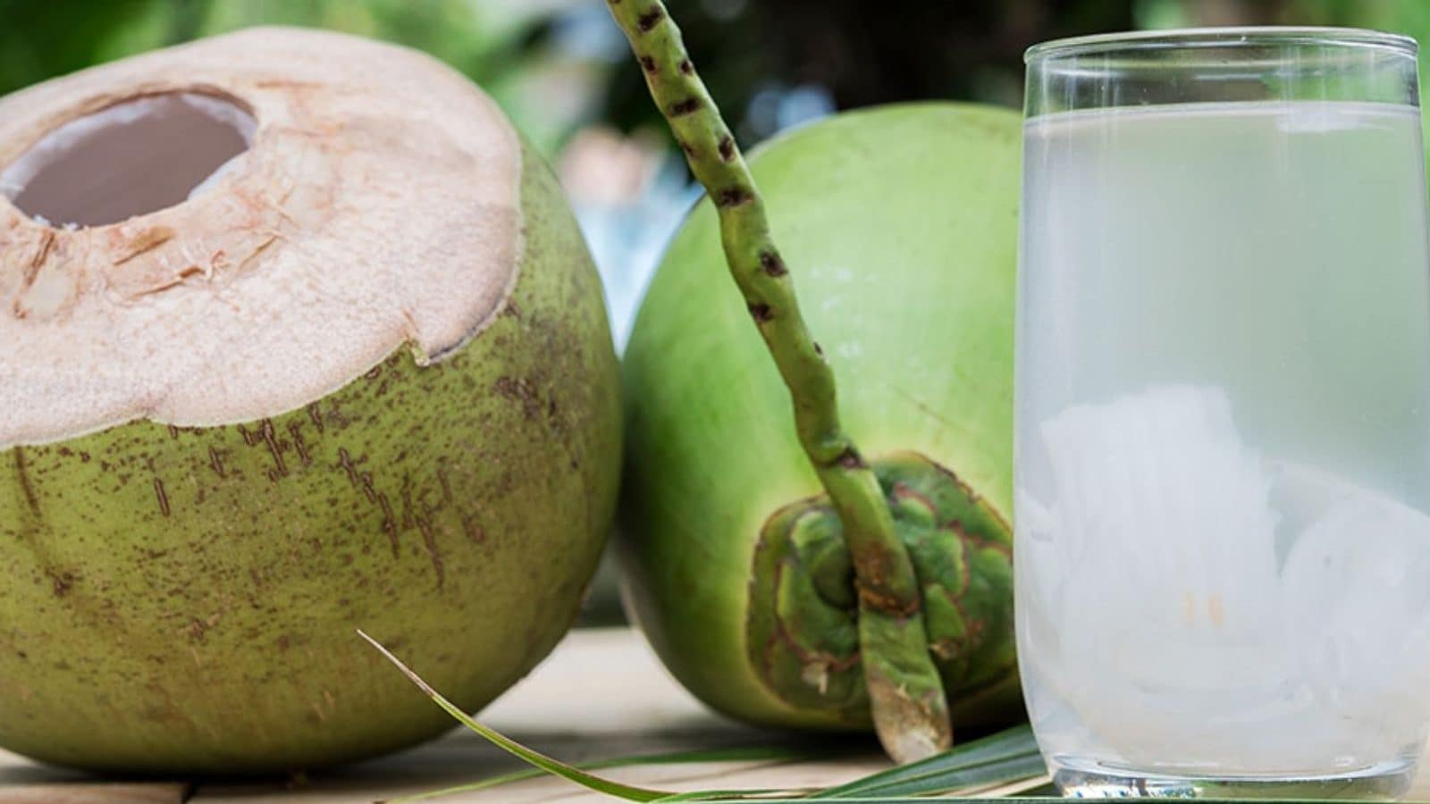 தினமும் இளநீர் குடிப்பதால் கிடைக்கும் நன்மைகள் என்ன..? யாரெல்லாம் குடிக்கக் கூடாது?