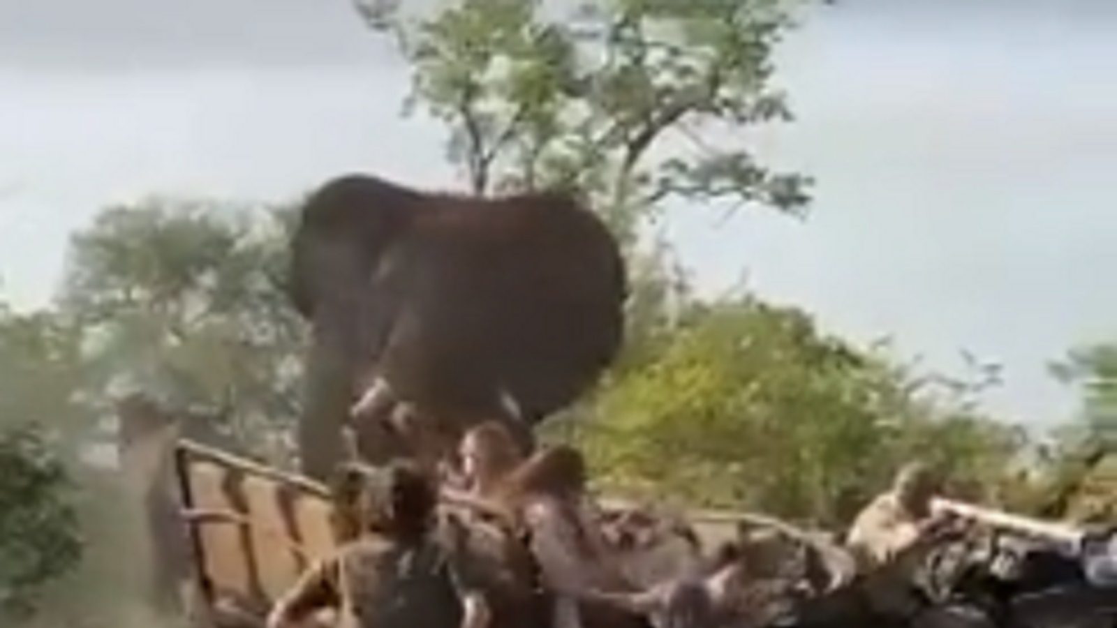 யாரு இடத்துல வந்து யார் சீன் போடுறது... செஞ்சுருவோம் .. மனிதர்களை ஓட விட்ட யானை - வைரல் வீடியோ