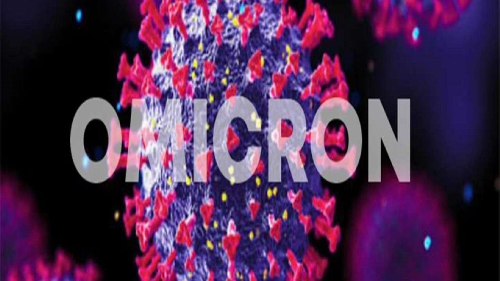 Omicron Cases in India| இந்தியாவில் டெல்டா அலை போல் ஓமைக்ரான் ஜனவரியில் உச்சம் பெறும்; உலகம் முழுதும் 300 கோடி பேரை பாதிக்கும்- அமெரிக்க மருத்துவர் எச்சரிக்கை