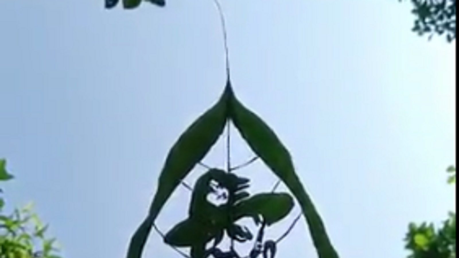 வார்த்தை இல்லை… ஆனந்த் மஹிந்திரா பகிர்ந்த முப்படை தலைமை தளபதி பிபின் ராவத் குறித்த வைரல் வீடியோ