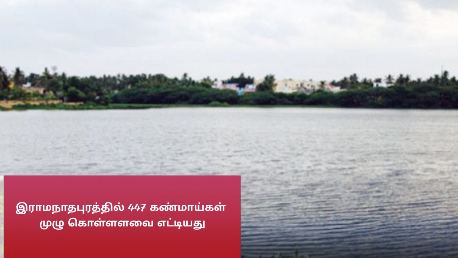 ராமநாதபுரத்தில் 447 கண்மாய்கள் முழு கொள்ளளவை எட்டியது