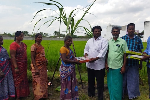 Villupuram : A farmer celebrate the Pongal festival 