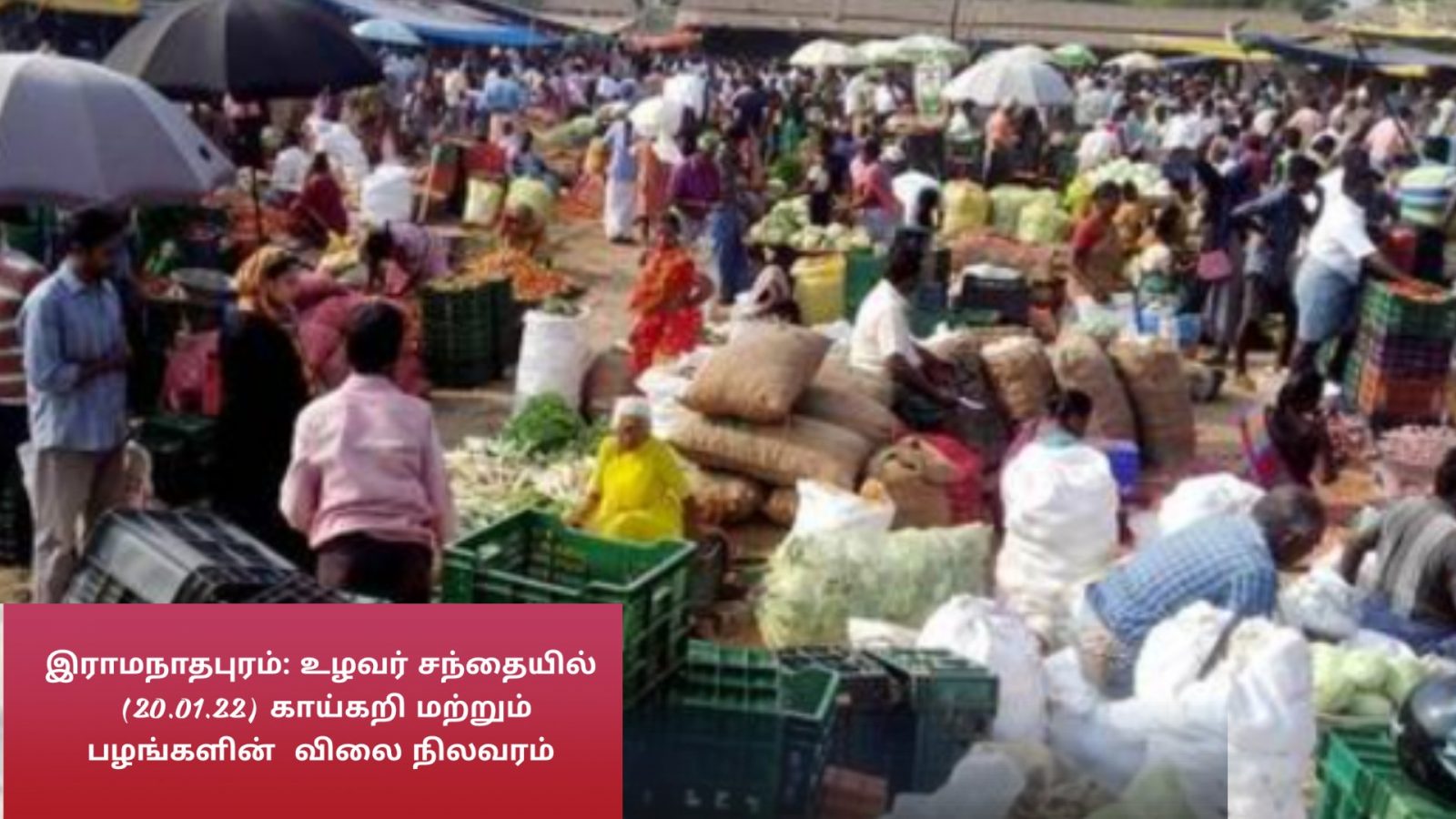 ராமநாதபுரம் : உழவர் சந்தையில் இன்று காய்கறி மற்றும் பழங்களின்  விலை நிலவரம் 