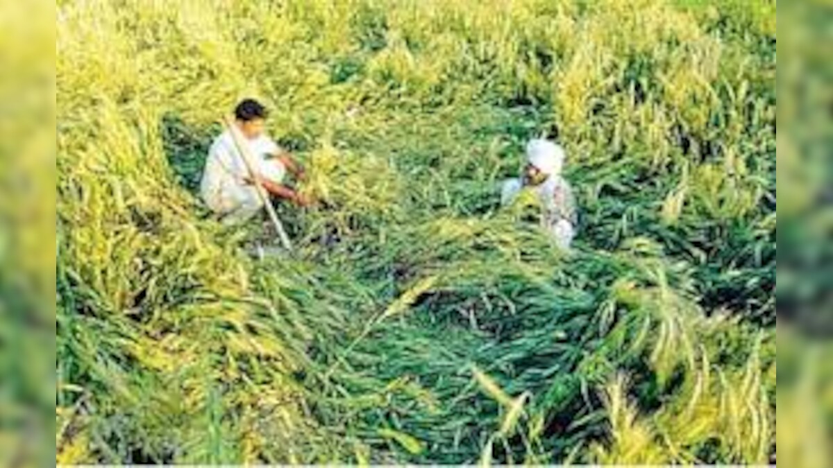 அருப்புக்கோட்டை:பயிர்க் காப்பீட்டுத் திட்டத்தில் முறைகேடு-வி.ஏ.ஓ பணியிடை நீக்கம்