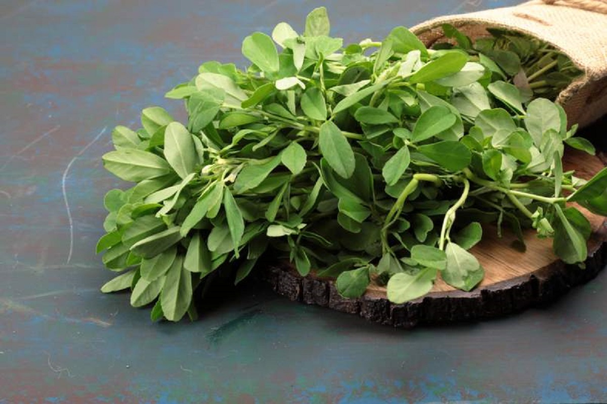  வெந்தய கீரை : உடலுக்கு தேவையான பல சத்துக்கள் வெந்தய கீரையில் உள்ளது. இதில் குளுக்கோஸை கட்டுபடுத்த கூடிய அளவிற்கான கிளைசிமிக் அளவும் உள்ளது. கால்சியம் சத்து வெந்த கீரையில் நிறைந்துள்ளதால் எலும்புகள் பலவீனமாவதையும் தடுக்கும்.