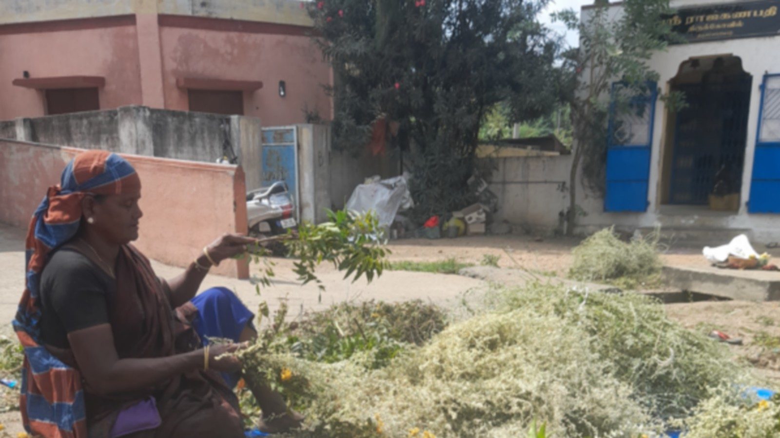 நாமக்கல்: காப்புக்கட்டை முன்னிட்டு ஆவாரம் பூ விற்பனை ஜோர்!