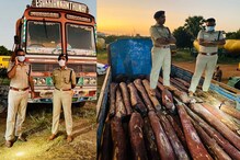 ரூ.10 கோடி மதிப்பிலான செம்மரக்கட்டைகள் தூத்துக்குடியில் சிக்கியது..