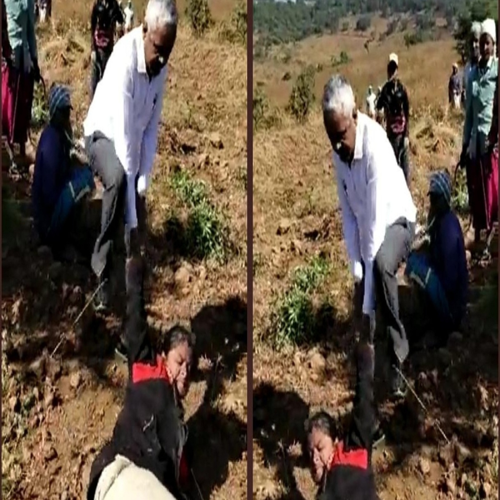 கர்ப்பிணி வனத்துறை அதிகாரி மீது கொடூர தாக்குதல் - வீடியோ