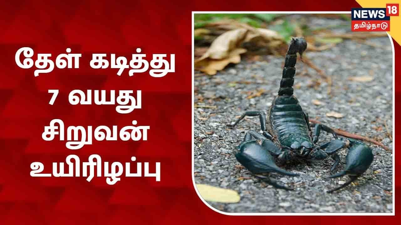 தேள் கடித்து 7 வயது சிறுவன் உயிரிழப்பு - விளையாடிக் கொண்டிருந்தபோது சோகம்