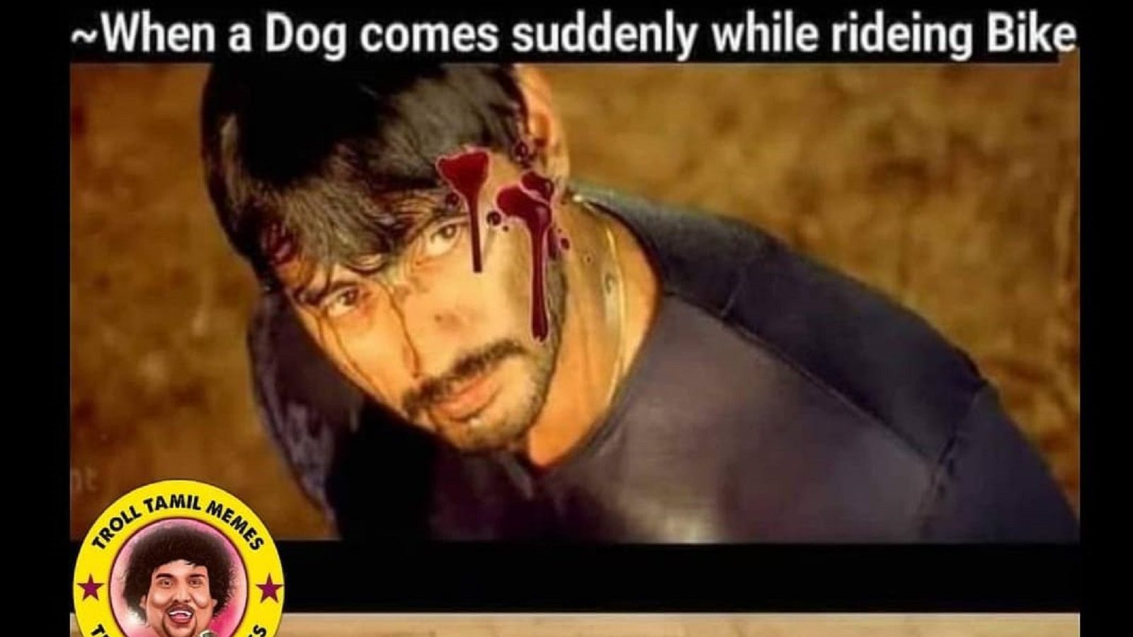 சாலையில் பைக் ஓட்டும் போது நாய் குறுக்கே சென்றால்.. என்ன தம்பி என்ன ஆச்சு - இணையத்தில் வைரலாகும் லேட்டஸ்ட் மீம்ஸ்