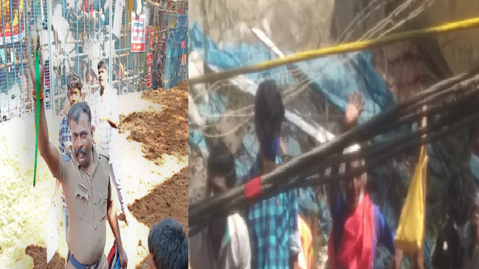 வடிவேல் பாணி கமெண்ட்ரி, டான்ஸ் ஆடி காளையர்களை உற்சாகப்படுத்திய மூதாட்டி - அவனியாபுரம் ஜல்லிக்கட்டு சுவாரஸ்யங்கள்