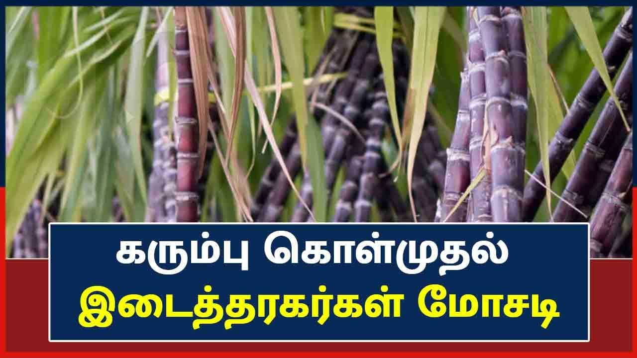 கரும்பு கொள்முதலில் விவசாயிகளிடம் பணம் பெற்று இடைத்தரகர்கள் மோசடி என புகார்