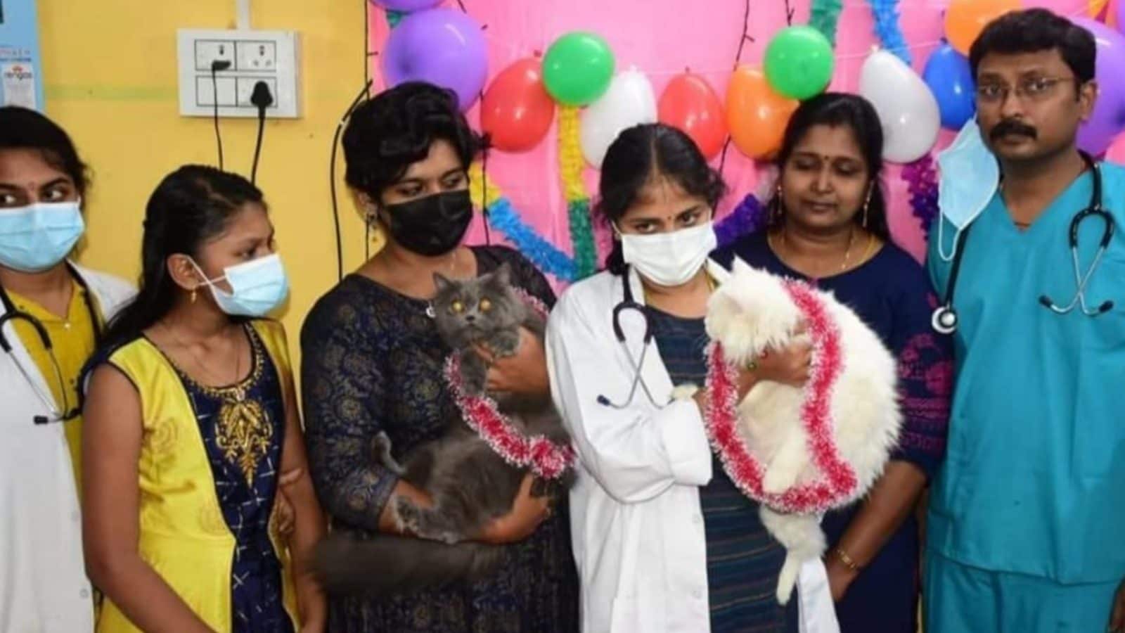 கோவையில் பூனைகளுக்கு வளைகாப்பு... ஆச்சரியப்பட வைக்கும் காரணம்