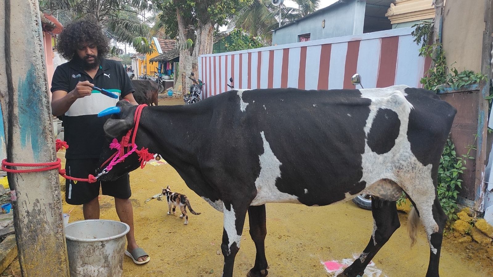 கோவையில் மாட்டுப் பொங்கலை உற்சாகமாக கொண்டாடிய மக்கள்...!