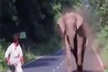 Susanta Nanda ,IFS ,shared ,elephant ,viral video, today trending , el