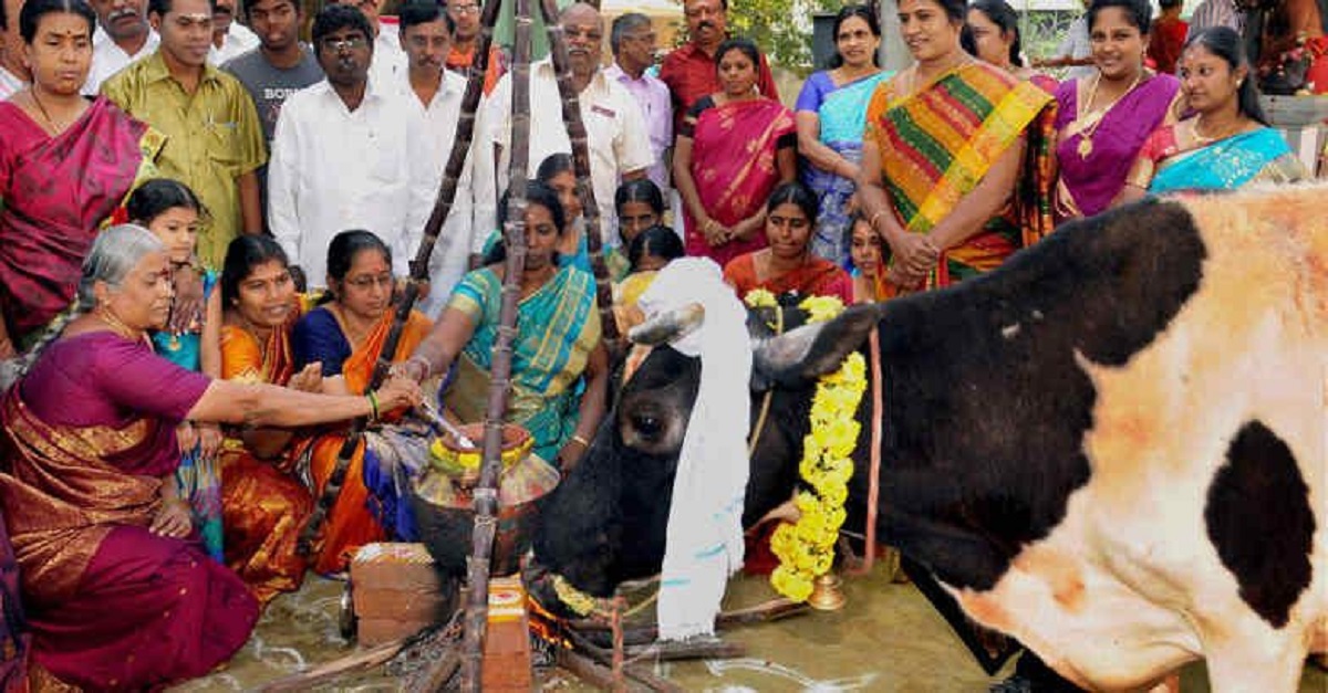  3. தீம் : ஒரு சாதாரண அலங்காரங்கள் நன்றாகவே இருந்தாலும் கூட, தீம் அடிப்படையிலான ஒன்று இனிமையானது. உங்கள் விருந்துக்கு ஒரு குறிப்பிட்ட கருப்பொருளை தேர்ந்தெடுத்து, அதன்படி ஆடை அணியுமாறு உங்கள் உறவினர்களைக் கேட்கலாம். உங்கள் குடும்பத்தினர் மற்றும் உங்கள் வீட்டிற்கு வரும் உறவினர்களை ஒரே தீம் அதாவது ஒரே நிற உடைகள் போன்றவற்றை மேற்கொள்வது கூடுதல் அழகை தரும். இது பொங்கல் கொண்டத்தின் அழகை மேம்படுத்தும் என்பதில் சந்தேகமில்லை.