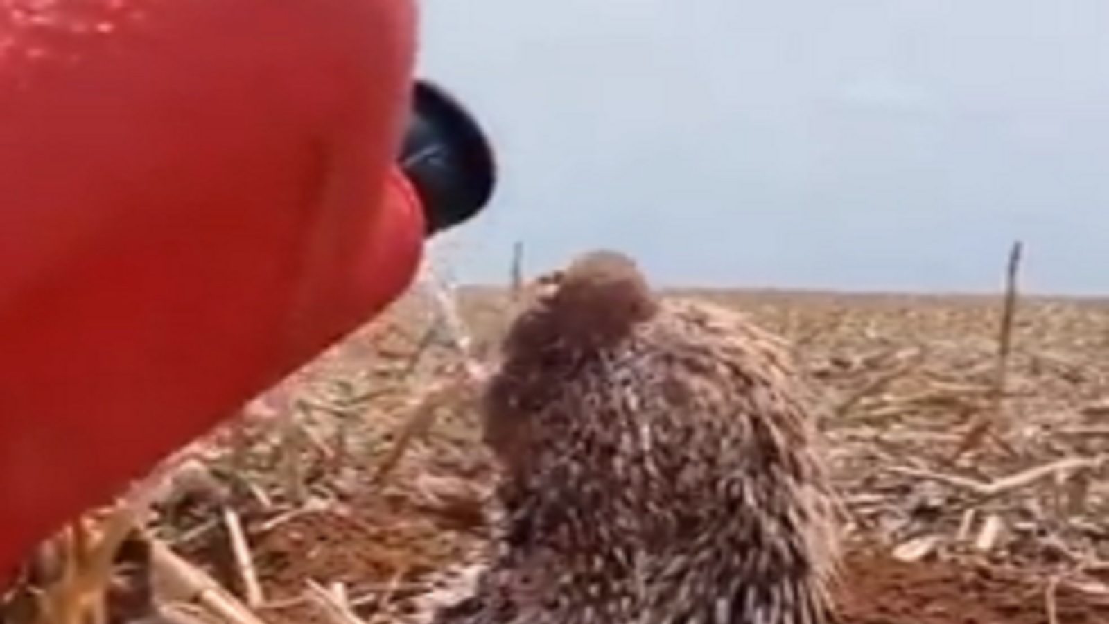 உயிர்வாழ இது தேவை... இதனை வழங்கும் ஒருவராக இருங்கள் - வைரலாகும் வனத்துறை அதிகாரி பதிவிட்ட வீடியோ